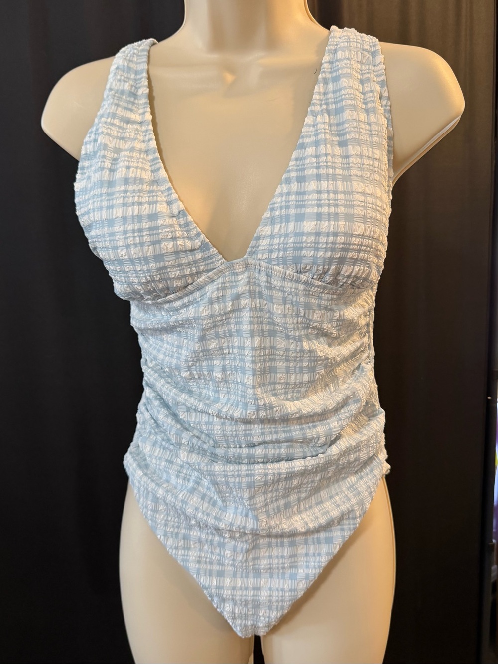 Shade & Shore Gingham Pucker Plunge Full Coverage One Piece Swimsuit Blue/White